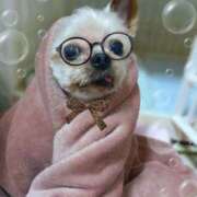 ヒメ日記 2025/12/10 15:13 投稿 れい 奥鉄オクテツ和歌山