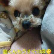 ヒメ日記 2026/01/03 03:53 投稿 れい 奥鉄オクテツ和歌山