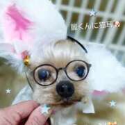 ヒメ日記 2026/02/18 00:08 投稿 れい 奥鉄オクテツ和歌山