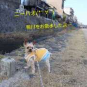 ヒメ日記 2026/02/23 17:45 投稿 れい 奥鉄オクテツ和歌山