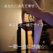 ヒメ日記 2026/07/09 15:46 投稿 れい 奥鉄オクテツ和歌山