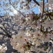 ヒメ日記 2025/04/07 09:14 投稿 るか ぽちゃSPA