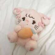 ヒメ日記 2025/10/06 08:15 投稿 るか ぽちゃSPA