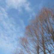 ヒメ日記 2025/10/23 08:21 投稿 るか ぽちゃSPA