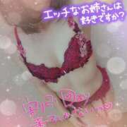 ヒメ日記 2025/04/05 12:03 投稿 比嘉 れいみ HANA-okinawa-