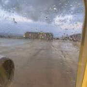 ヒメ日記 2025/01/03 07:22 投稿 ここ お姉京都