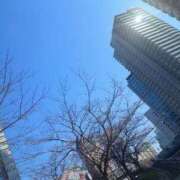 ヒメ日記 2025/03/01 10:31 投稿 美竹(みたけ) 熟女出逢い会 『百合の園』 五反田店