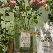 ヒメ日記 2025/07/12 21:07 投稿 まどか パイセン