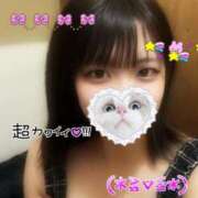 ヒメ日記 2025/05/28 09:27 投稿 たまき 新宿スピン