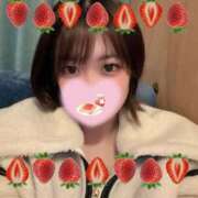 ヒメ日記 2026/02/14 15:07 投稿 たまき 新宿スピン