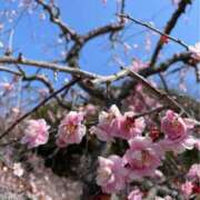 ヒメ日記 2025/03/25 13:06 投稿 みなと(昭和40年生まれ) 熟年カップル名古屋～生電話からの営み～