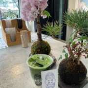 ヒメ日記 2025/03/30 21:05 投稿 みなと(昭和40年生まれ) 熟年カップル名古屋～生電話からの営み～