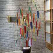 ヒメ日記 2025/07/07 05:09 投稿 みなと(昭和40年生まれ) 熟年カップル名古屋～生電話からの営み～