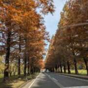 ヒメ日記 2025/11/29 11:40 投稿 みなと(昭和40年生まれ) 熟年カップル名古屋～生電話からの営み～