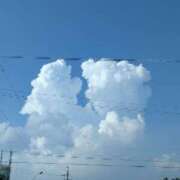 ヒメ日記 2026/08/25 16:17 投稿 みなと(昭和40年生まれ) 熟年カップル名古屋～生電話からの営み～