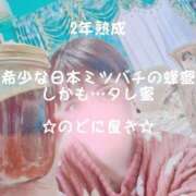 ヒメ日記 2025/01/30 09:25 投稿 一咲みゆゆ LIP×LIP滋賀