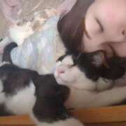 ヒメ日記 2025/03/26 16:56 投稿 一咲みゆゆ LIP×LIP滋賀