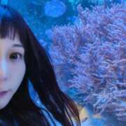 ヒメ日記 2025/05/14 07:21 投稿 一咲みゆゆ LIP×LIP滋賀