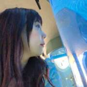 ヒメ日記 2025/05/20 21:21 投稿 一咲みゆゆ LIP×LIP滋賀