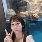 ヒメ日記 2025/06/06 11:50 投稿 一咲みゆゆ LIP×LIP滋賀