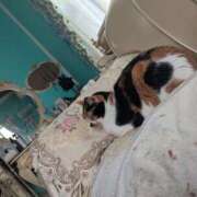 ヒメ日記 2025/06/18 17:45 投稿 一咲みゆゆ LIP×LIP滋賀