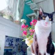 ヒメ日記 2025/06/18 18:38 投稿 一咲みゆゆ LIP×LIP滋賀