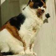 ヒメ日記 2026/03/18 12:26 投稿 一咲みゆゆ LIP×LIP滋賀