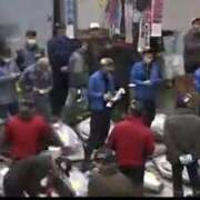 ヒメ日記 2025/01/05 21:14 投稿 つばき マリン熊本本店