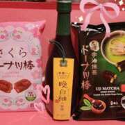 ヒメ日記 2025/02/02 12:05 投稿 つばき マリンマリン