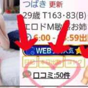 ヒメ日記 2025/02/15 12:05 投稿 つばき マリンマリン