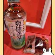 ヒメ日記 2025/02/23 08:34 投稿 つばき マリンマリン