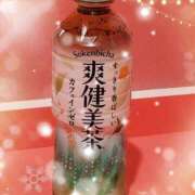 ヒメ日記 2025/03/09 14:24 投稿 つばき マリンマリン