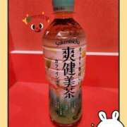 ヒメ日記 2025/03/20 17:04 投稿 つばき マリンマリン