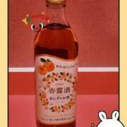 ヒメ日記 2025/03/29 11:14 投稿 つばき マリンマリン