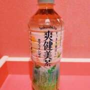 ヒメ日記 2025/04/06 16:23 投稿 つばき マリンマリン