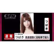 ヒメ日記 2025/04/12 14:24 投稿 つばき マリンマリン