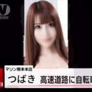 ヒメ日記 2025/04/12 20:24 投稿 つばき マリンマリン