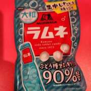 ヒメ日記 2025/04/29 18:44 投稿 つばき マリンマリン