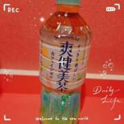 ヒメ日記 2025/05/20 13:00 投稿 つばき マリンマリン