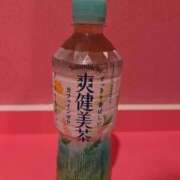 ヒメ日記 2025/06/08 14:24 投稿 つばき マリンマリン