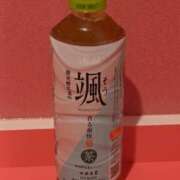 ヒメ日記 2025/06/20 21:08 投稿 つばき マリンマリン