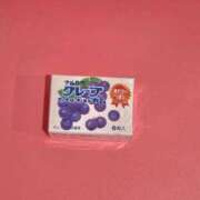 ヒメ日記 2025/07/24 17:36 投稿 つばき マリンマリン