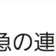ヒメ日記 2025/07/31 15:14 投稿 つばき マリンマリン