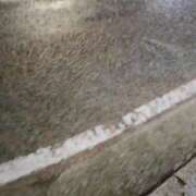 ヒメ日記 2025/08/11 17:14 投稿 つばき マリンマリン