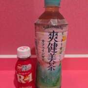 ヒメ日記 2025/08/16 15:13 投稿 つばき マリンマリン