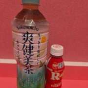ヒメ日記 2025/08/24 16:15 投稿 つばき マリンマリン