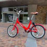 ヒメ日記 2025/08/30 14:44 投稿 つばき マリンマリン