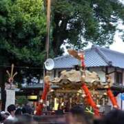 ヒメ日記 2025/09/21 11:24 投稿 つばき マリンマリン