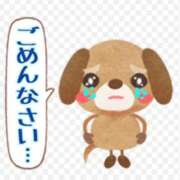 ヒメ日記 2025/10/16 18:14 投稿 つばき マリンマリン