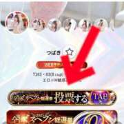 ヒメ日記 2025/11/18 17:04 投稿 つばき マリンマリン